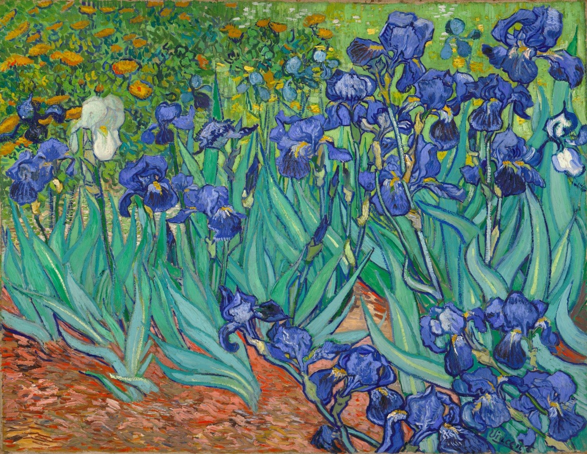 van_gogh_irides