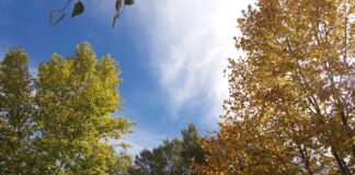 / Ζαγοροχώρια / zagoroxwria_katsavpu_alexia