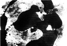 “Παράλληλες Συνδέσεις”: Εικαστική έκθεση των Ákos Révész και Αποστόλη Ζολωτάκη A.Zolotakis004