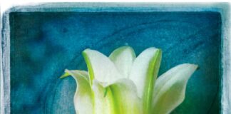 Το χαμόγελο του δράκου, Αλκυόνη Παπαδάκη to_xamogelo_tou_drakou_alkyoni_papadaki