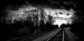 Χρυσαυγή xrusaugi_Ologramma