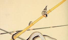 «Ο τρυφερός καρπός πολυβολείται»