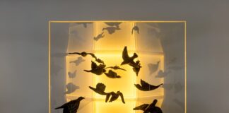 Πίσω από το Προσωπείο, Άσπα Παπαλεξανδρή