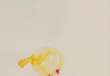 Η εικαστική ομάδα “Barbares d’ Esprit” στη Σαντορίνη