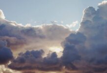 Μικρό Ελεγείο Ή Λίγα λόγια για την Πέρσα, Ρογήρος Δέξτερ