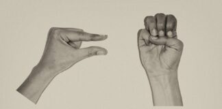 «Μικρός» Κινηματογράφος σε ζωντανή σύνδεση |International Micro μ Festival