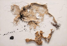 “Créations Suggestives” του Daniel Verstraete στην Art Appel Gallery