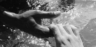 Ευθείες της τεθλασμένης, Σοφία Σεραφειμίδη