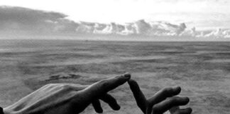 Με την πρώτη ματιά, Πόλι Ντελάνο