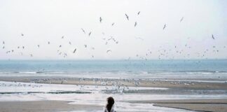 To Ημερολόγιο ενός μάγου