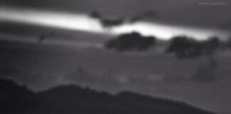 Ένα μισοπεθαμένο Καλοκαίρι, Σοφία Σεραφειμίδη