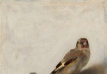 CAREL FABRITIUS: Αποκωδικοποιώντας την Καρδερίνα