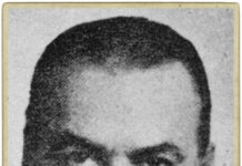 Αίσθηση, Κ. Γαρίδης