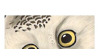 « τα πρωινά »