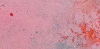 « Εκείνα τα Χριστούγεννα was so much like another »