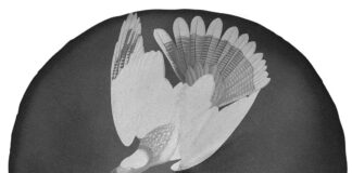 « τα πρωινά »