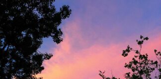 ΜΟΝΑΧΑ ΤΟΥΣ ΣΤΕΚΟΝΤΑΙ, Σωτήρης Ρούσσης