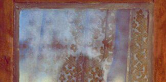 Αποδοχή, Ολυμπία Θεοδοσίου