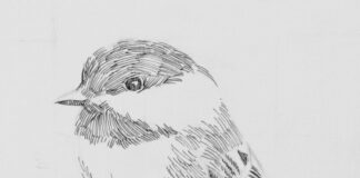 « τα πρωινά »