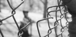 απουσιάΖΩντας