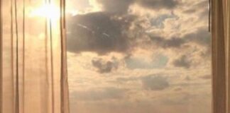 Η Σιέστα, Nίκη Μισαηλίδη