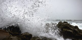 Εμείς κι η θάλασσα, Βαρβάρα Τζάμα