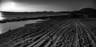 Αναζωογονητική Έμπνευση