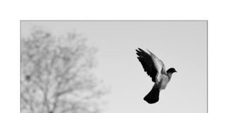 Âme libre, Βαρβάρα Τζαμά