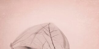 Η ράχη σκληραίνει στο κρύο, Σοφία Σταθάκη