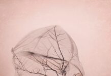 Το δέντρο κι ο ουρανός, Tomas Tranströmer