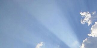 Υποσημειώσεις