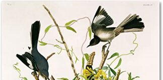 « τα πρωινά »