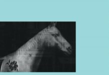 “Bildungsroman”, Άκης Παπαντώνης