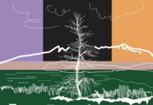 Εύβοια Film Project: Η Εύβοια Παγκόσμιος Πόλος για το Green Cinema