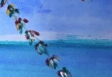 “Τα Πρωινά”