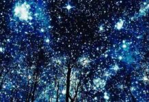 εσωτερικεύσεις