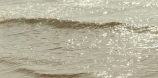 Ονειρικό Τραγούδι 14, John Berryman