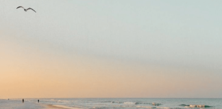 Ασίγαστη σιωπή