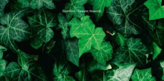 “Β Α Κ Χ Α Ι” μία συλλογική αφήγηση από το Θεατρικό σχήμα «ΕΠΤΑΡΧΕΙΑ» στο Βιομηχανικό Πάρκο ΠΛ.ΥΦ.Α