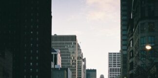 Μπλαβιά αυλαία, Γιάννης Τρανίδις