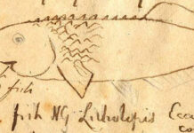 “τα πρωινά”