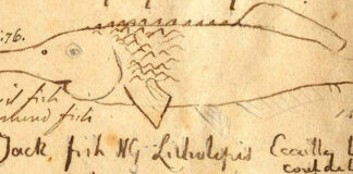 “τα πρωινά”