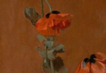 Study of Poppies, James Inskipp