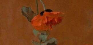 Study of Poppies, James Inskipp