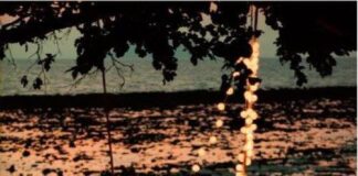 Ακούω προσεκτικά, Σοφία Σταθάκη