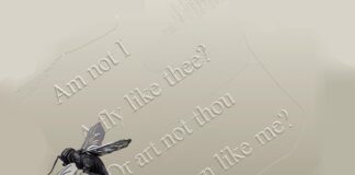 “Empty Shaping” στην Gallery Lola Nikolaou