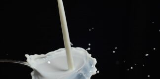 ΠΡΟΣΦΟΡΟ ΣΩΜΑ