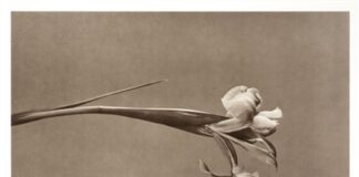 Τρία ποιήματα της Μίνας Πατρινού