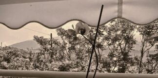 Εκείνη, Χαντζαράς Νίκος