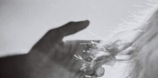 Ό, τι δεν ήταν θα ξαναγίνει, Βάσω Χριστοδούλου